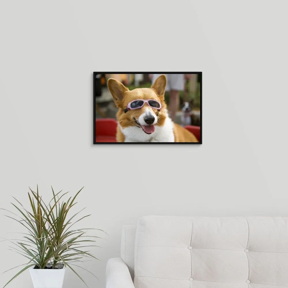 "A Pembroke Welsh Corgi sitting in a wagon wearing sunglasses" Black Float Frame Canvas Art