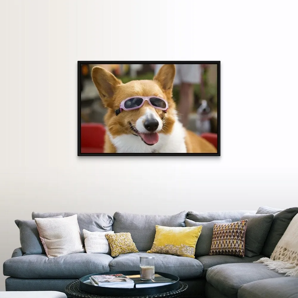 "A Pembroke Welsh Corgi sitting in a wagon wearing sunglasses" Black Float Frame Canvas Art