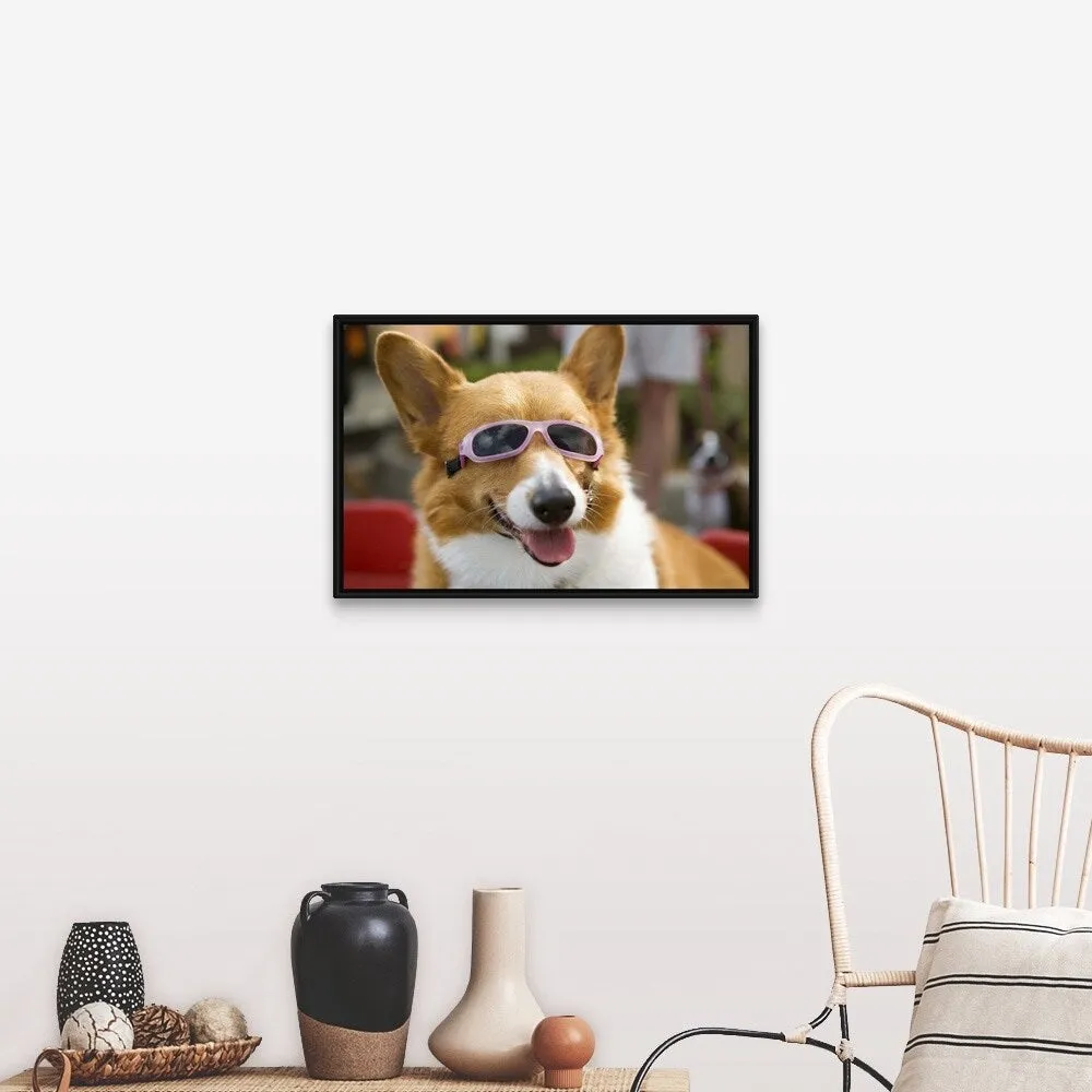 "A Pembroke Welsh Corgi sitting in a wagon wearing sunglasses" Black Float Frame Canvas Art