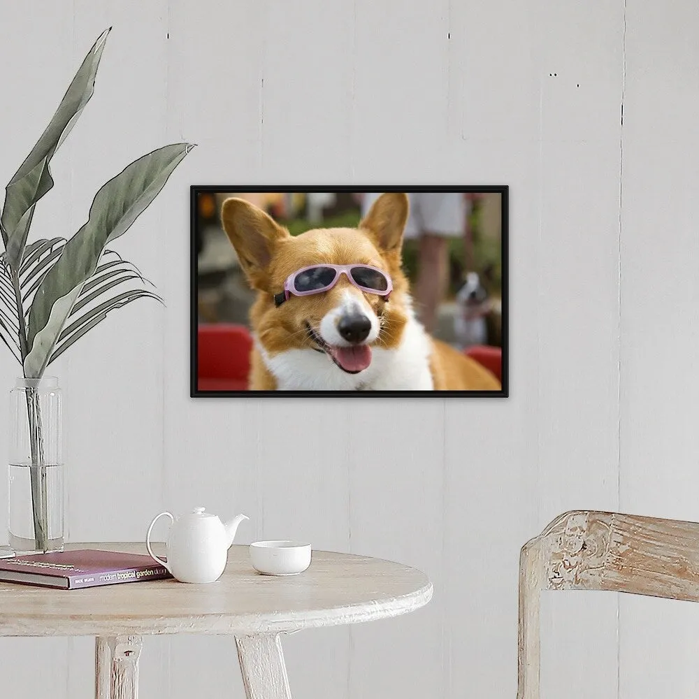 "A Pembroke Welsh Corgi sitting in a wagon wearing sunglasses" Black Float Frame Canvas Art